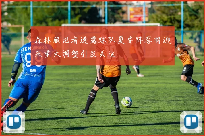 森林狼记者透露球队夏季阵容将迎来重大调整引发关注